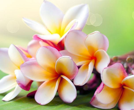 预防鱼鳞病需要注意哪些事项