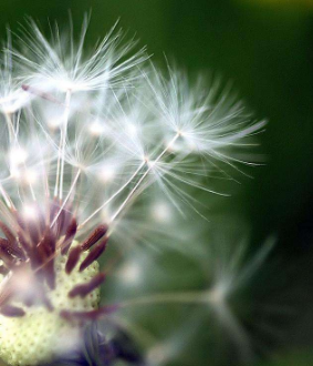 患上荨麻疹后要怎么进行处理