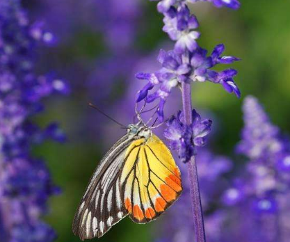 急性荨麻疹该怎么护理