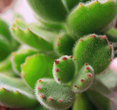 怎样穿鞋才能防止脚气