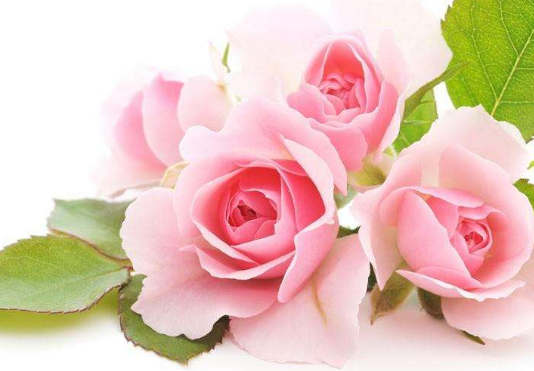 湿疹患者比较常见的病因