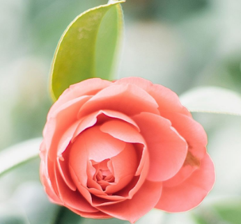 发现湿疹的注意事项