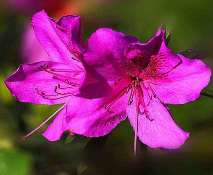 青少年患有腋臭怎么办