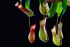 为何青春期过了还会长痘痘