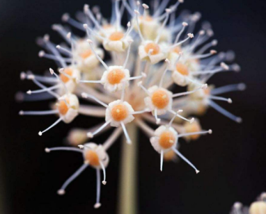 青春痘患者应该注意些什么